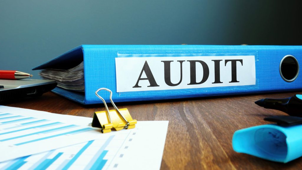 Understanding Audit Roles and Their Responsibilities