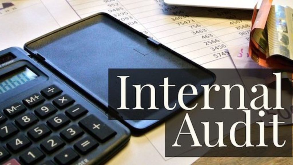 What is the role of internal audit on organizational performance?
